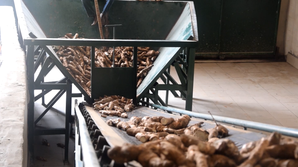 整條木薯淀粉線剪輯.png 整條木薯淀粉線剪輯.png